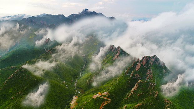 image001 拷贝.jpg image001 拷贝.jpg