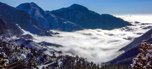 image001.png image001.png