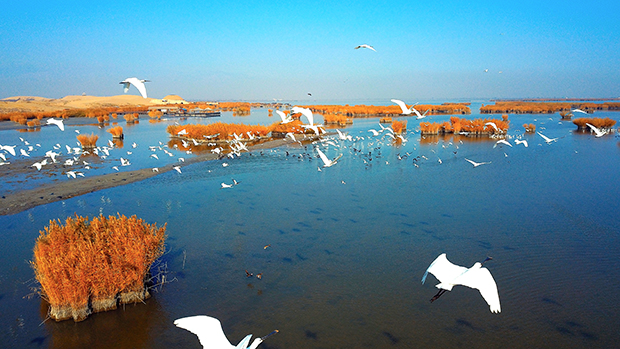 image019.jpg image019.jpg