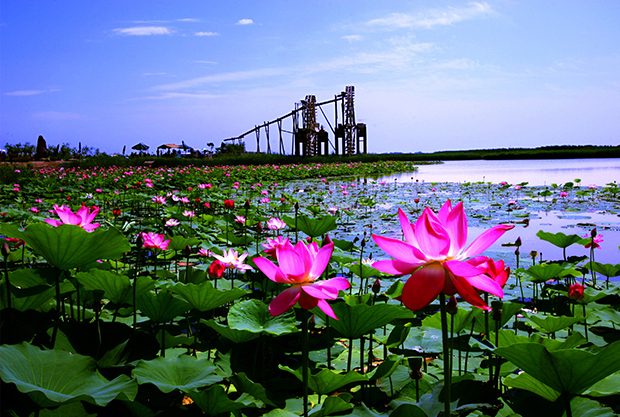 image021.jpg image021.jpg