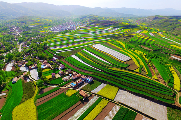 image031.jpg image031.jpg