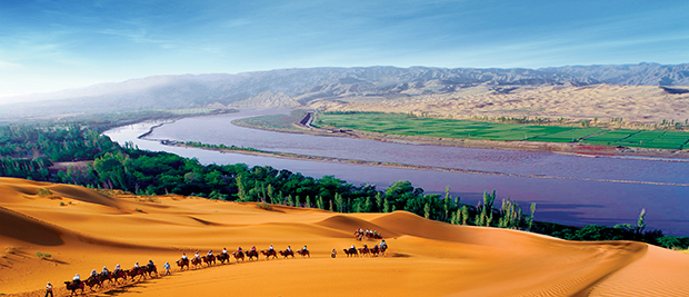 image007.jpg image007.jpg