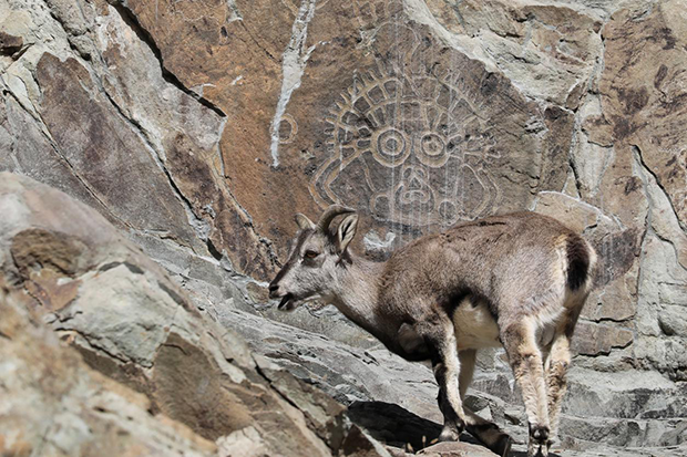 image005.png image005.png