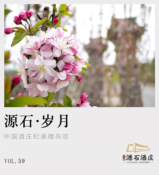 image013.png image013.png