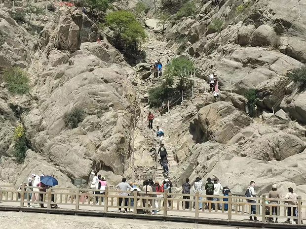 image037.jpg image037.jpg