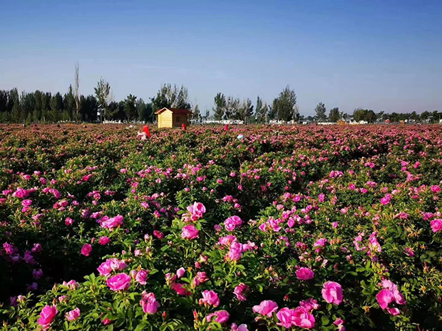 image013.jpg image013.jpg