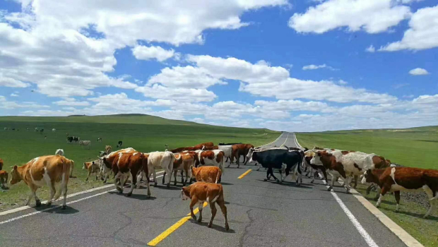 Honeyview_image011.jpg Honeyview_image011.jpg