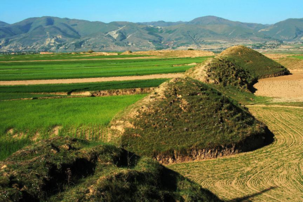 Honeyview_image001.jpg Honeyview_image001.jpg