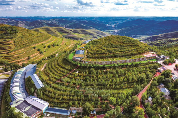 Honeyview_image016.jpg Honeyview_image016.jpg