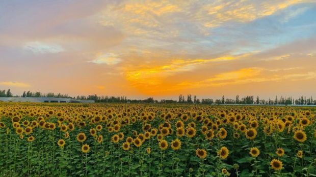 Honeyview_image026.jpg Honeyview_image026.jpg