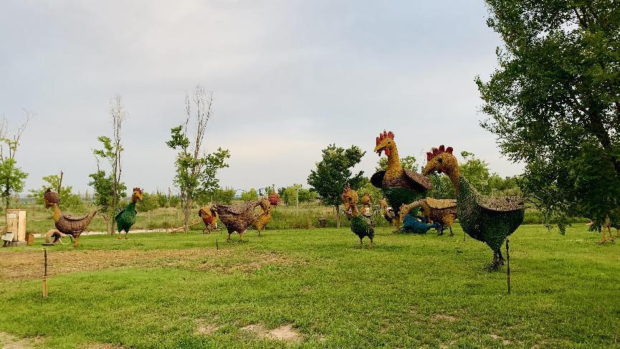 Honeyview_image028.jpg Honeyview_image028.jpg