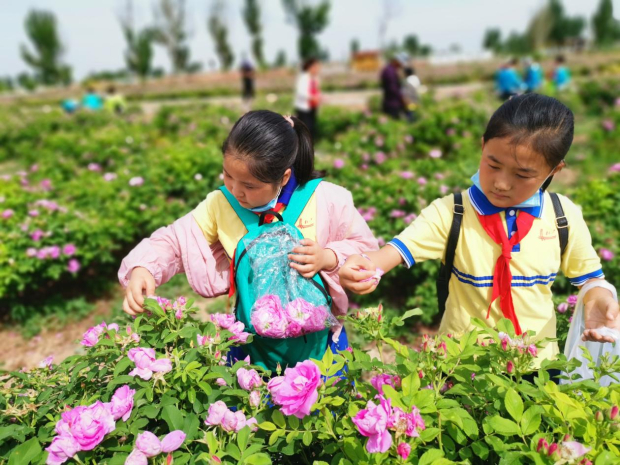 Honeyview_image036.jpg Honeyview_image036.jpg