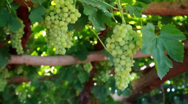 Honeyview_image040.jpg Honeyview_image040.jpg