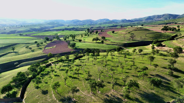 Honeyview_image044.jpg Honeyview_image044.jpg