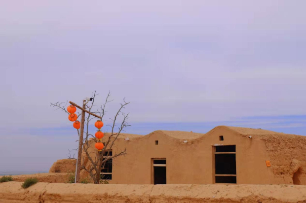 Honeyview_image046.jpg Honeyview_image046.jpg