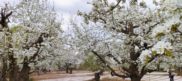 Honeyview_image056.jpg Honeyview_image056.jpg