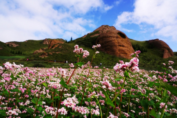 image005 (2).jpg image005 (2).jpg