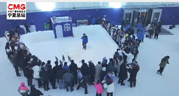 image035 (2).jpg image035 (2).jpg