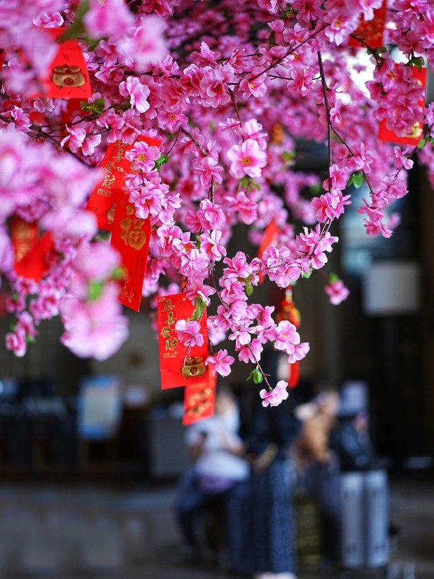 微信图片_2026-02-13_144713_036 (2).jpg